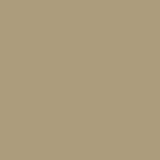 Putty (піщаний)