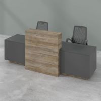Ресепшн Симпл 32-15 (Simple) Salita