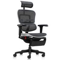 Крісло геймерське Ergohuman ultra aurora white