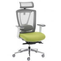 Крісло офісне Ergo Chair 2 green