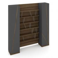 Шафа офісна Rays Lux 31-22 Salita