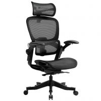 Крісло офісне Hinomi H1 classic V3 black