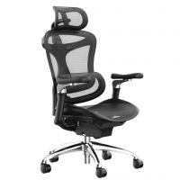Крісло офісне Sihoo Doro-C300 Pro black сітка