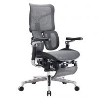 Крісло офісне Sihoo Doro-S300 black