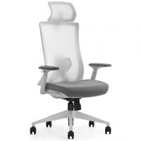 Крісло офісне SK9-GH сітка/тканина white