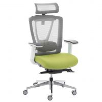 Кресло эргономичное Ergo Chair 2 зеленый
